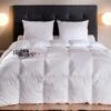 Couette AQUITAINE Hiver 90% Duvet De Canard Neuf De France 10% Plumettes 300 G/m² -feuille Soldes Boutique couette aquitaine hiver