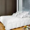 Couette MONDOR 30% Duvet 70% Plumettes 350 G/m² -feuille Soldes Boutique couette mondor hiver