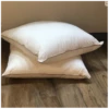 Lot De 2 Oreillers FJORD MICRODUV 100% Fibres Microduv® -feuille Soldes Boutique lot de 2 oreillers fjord microduv
